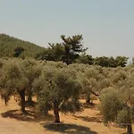 Ivanka's * Skala Rachoni (Thasos)