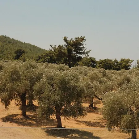 Ivanka's * Skala Rachoni (Thasos)