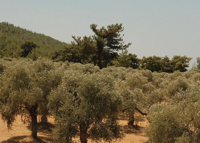 Ivanka's * Skala Rachoni (Thasos)