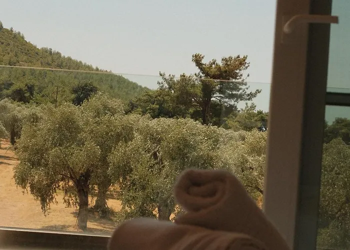 别墅 Ivanka's Skala Rachoni (Thasos)